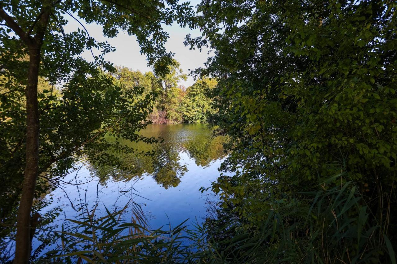 Le Saint Martin #Centre Ville #Charente #6Pers Cognac Exteriör bild